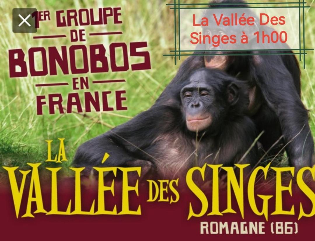 Gite De Charme Dans Un Cadre Calme Et Reposant Chatellerault Luaran gambar